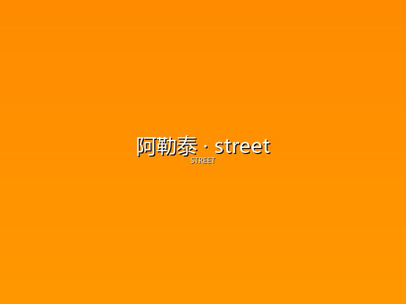 阿勒泰 street