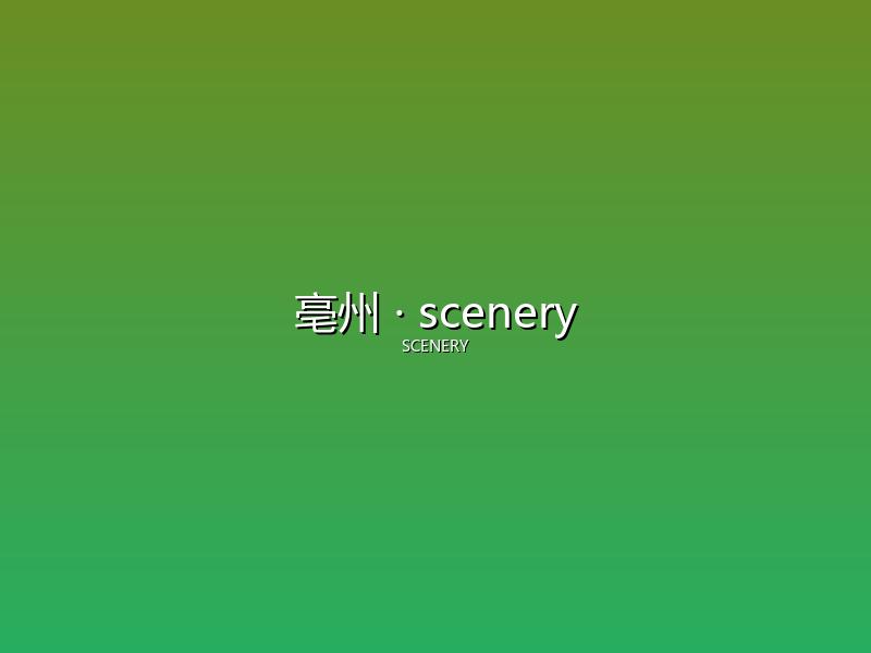 亳州 scenery