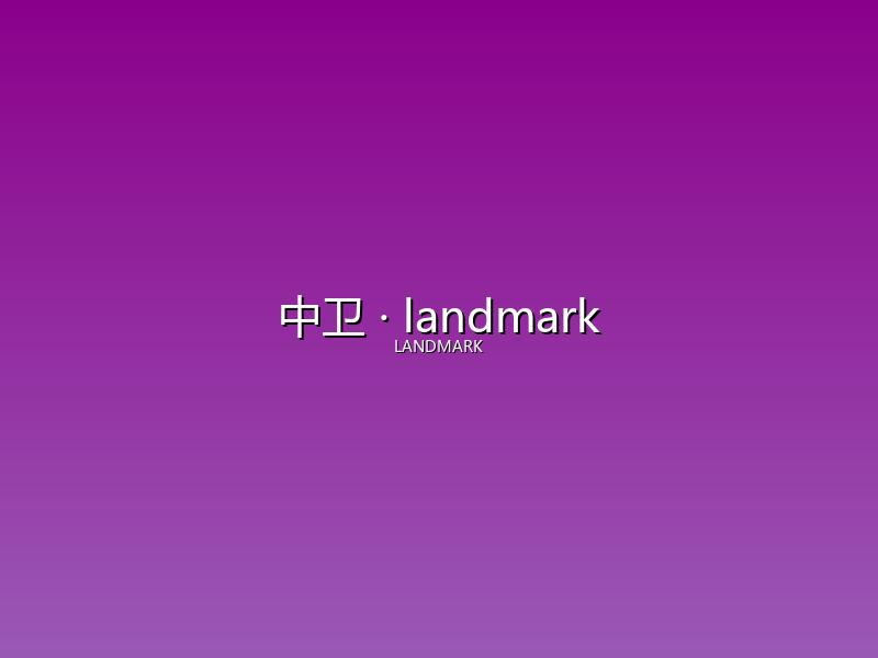 中卫 landmark
